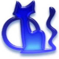 darktkd