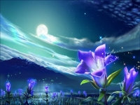 Dream's