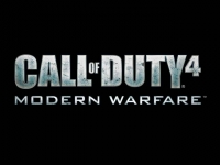 Groupe de Gamer a COD 4