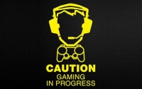 gamer0