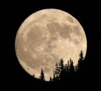 lunasonata