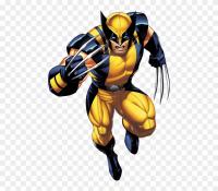 wolverine