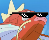magibob