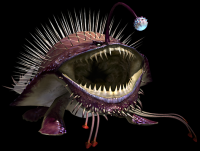 gobul