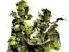 Vidéo MGS HD Collection Vita (gameplay off-screen)