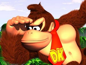 Donkey Kong Country