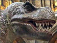 Jurassic Park III : The DNA Factor