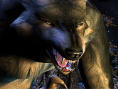The Elder Scrolls III : Bloodmoon
