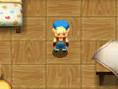 Harvest Moon : Sun and friends