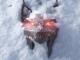Netflix : extrait et date de The Witcher - Saison 4