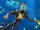 Subnautica & Subnautica : Below Zero NS2 Edition